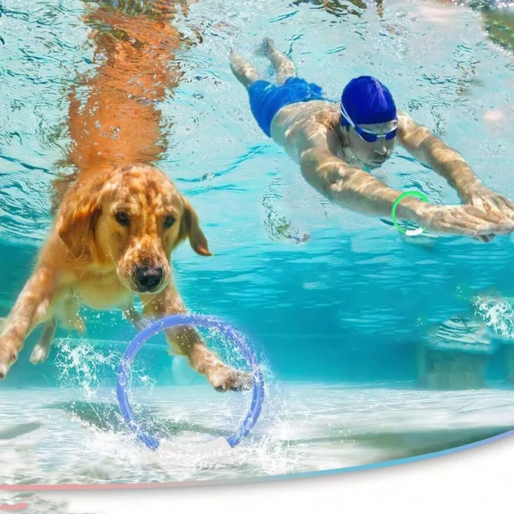 다채로운 수중 수영장 다이빙 소품 1세트, 던지기, 다이빙 및 원형 다이빙 장비에 적합합니다.