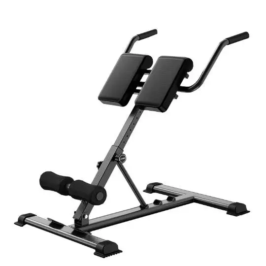

Home Gym Multifunctional Roman Chair with Best Price