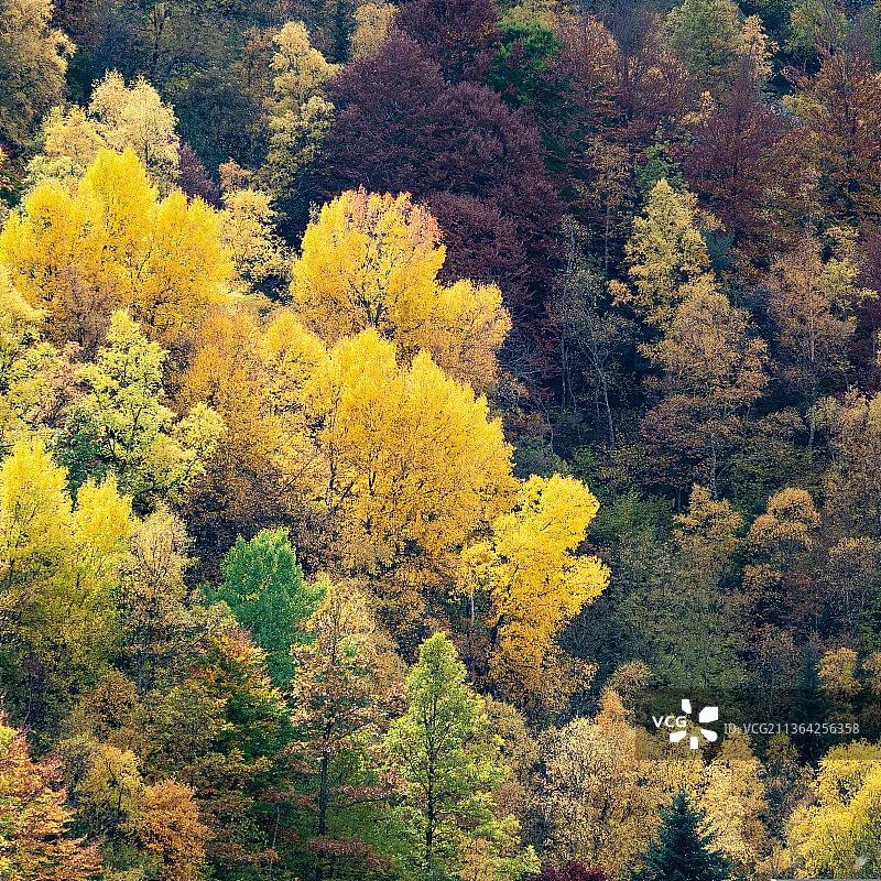 

SpeedyBee F405 AIO 40A 25.5x25.5 Flight Controller with ICM-42688 Gyro & New SPA06-003 Barometer for FPV Freestyle Drone