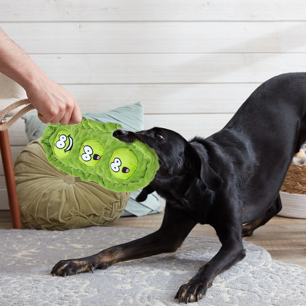 Juguetes interactivos para perros: Peluche con forma de vaina de guisante para ocultar premios, que alivia el aburrimiento, para lanzar y perseguir, y pelota olfativa para alimentación lenta.