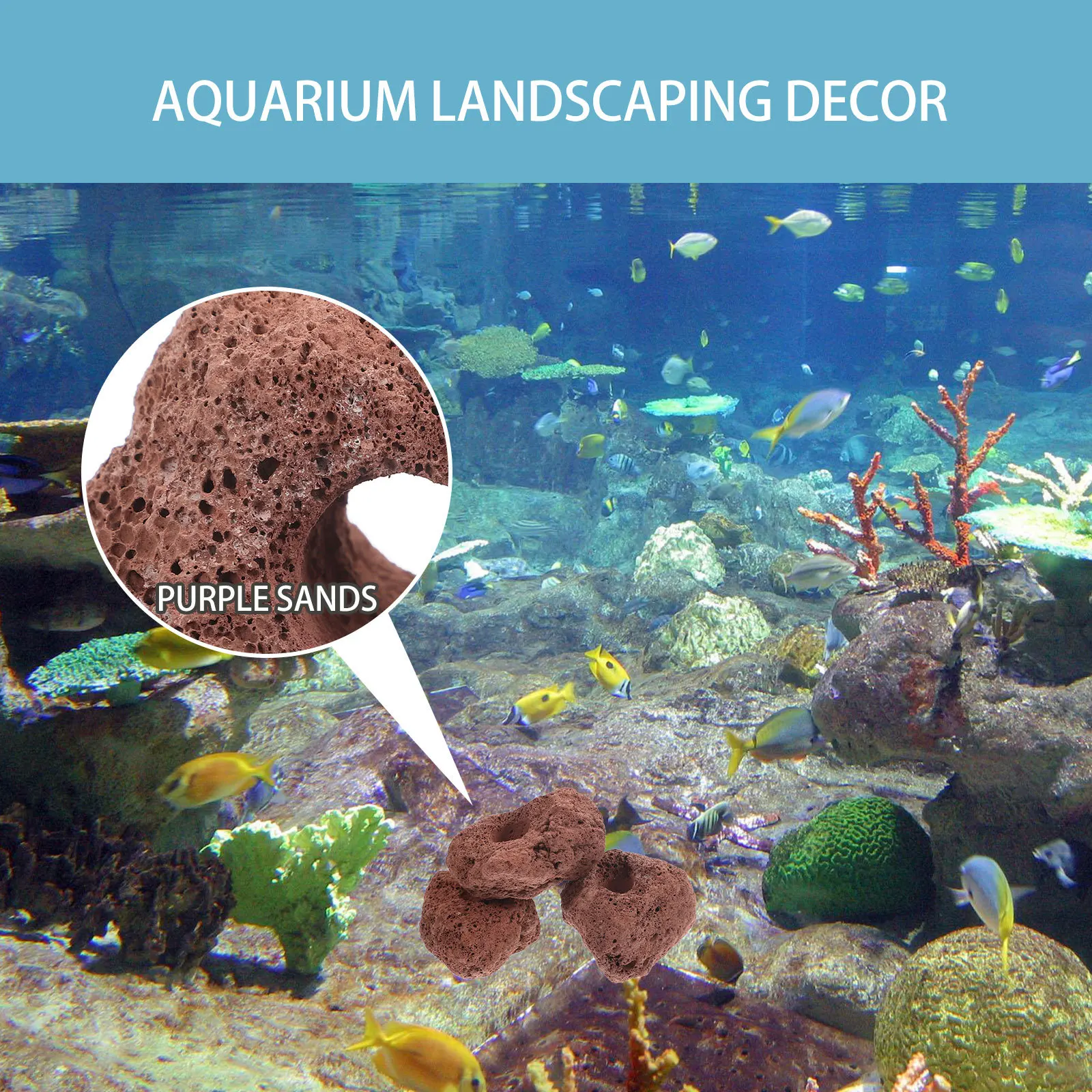 

3pcs Volcanic Rock Planting Ring Aquarium Water Grass Fixing Base Fish Tank Decor Accessory Aquatic Plant Holder