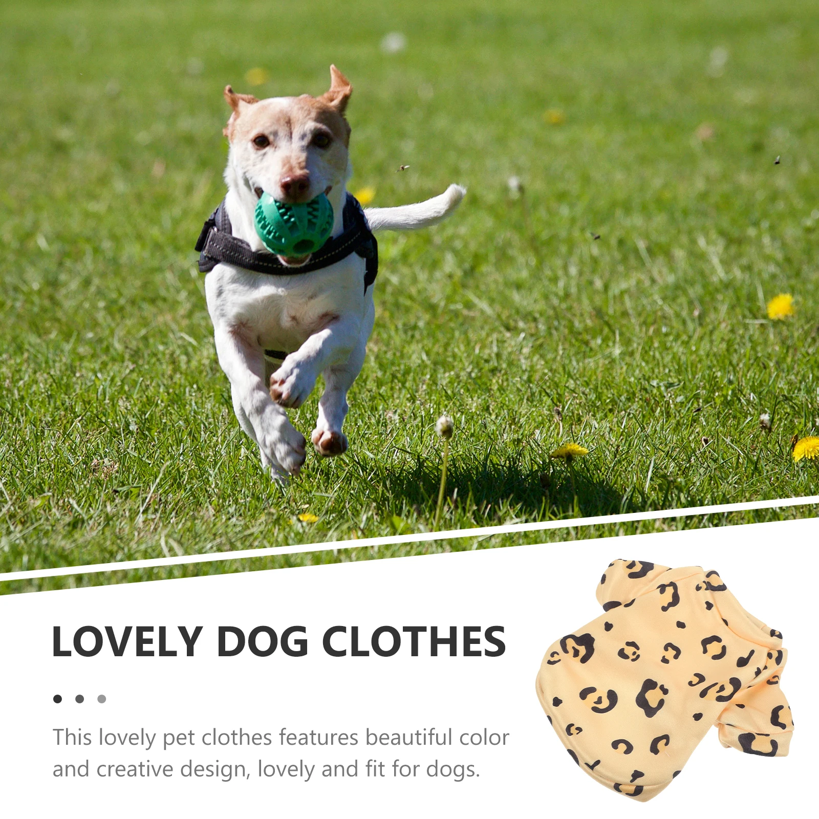 

Xs Pet Winter Clothing Warm Dog Coat Adorable Puppy Jacket for Walking Jogging and Hiking Winter Clothes for Dogs