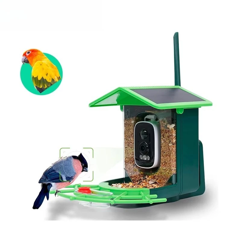 

Outdoor smart bird feeder, waterproof solar energy, low power consumption, with bird identification monitoring function