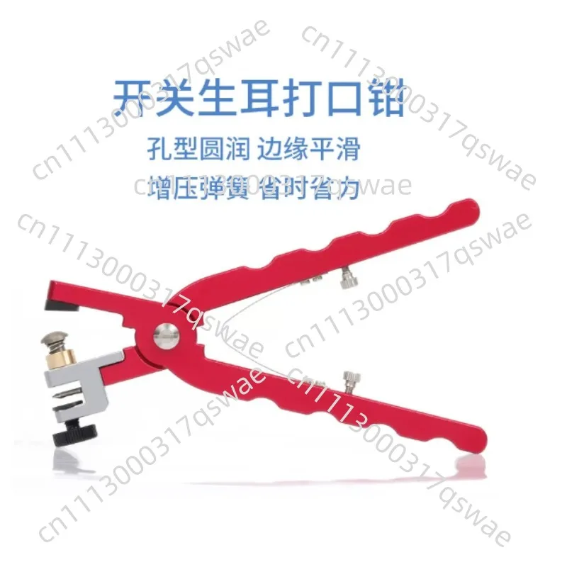 Quick Release Punching Stainless Steel Watch Tools Strap