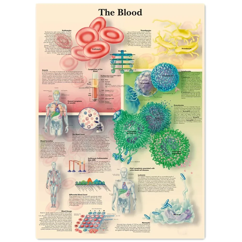 The Blood Vintage Kraft Paper Wall Art Painting Human Anatomy Medical Posters & Prints Wall Stickers Home Decor Chart