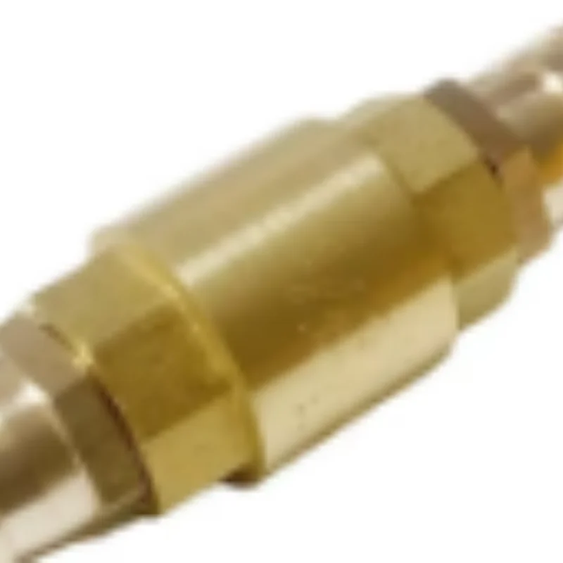 Detalhe 4 de Válvula solenoide 6mm 8mm 10mm 12mm 14mm 16mm 19mm 25mm 32m Hose Barb Brass Vertical Lift Spring Check Valve One Way Non-return Valve For Water Água e vapor