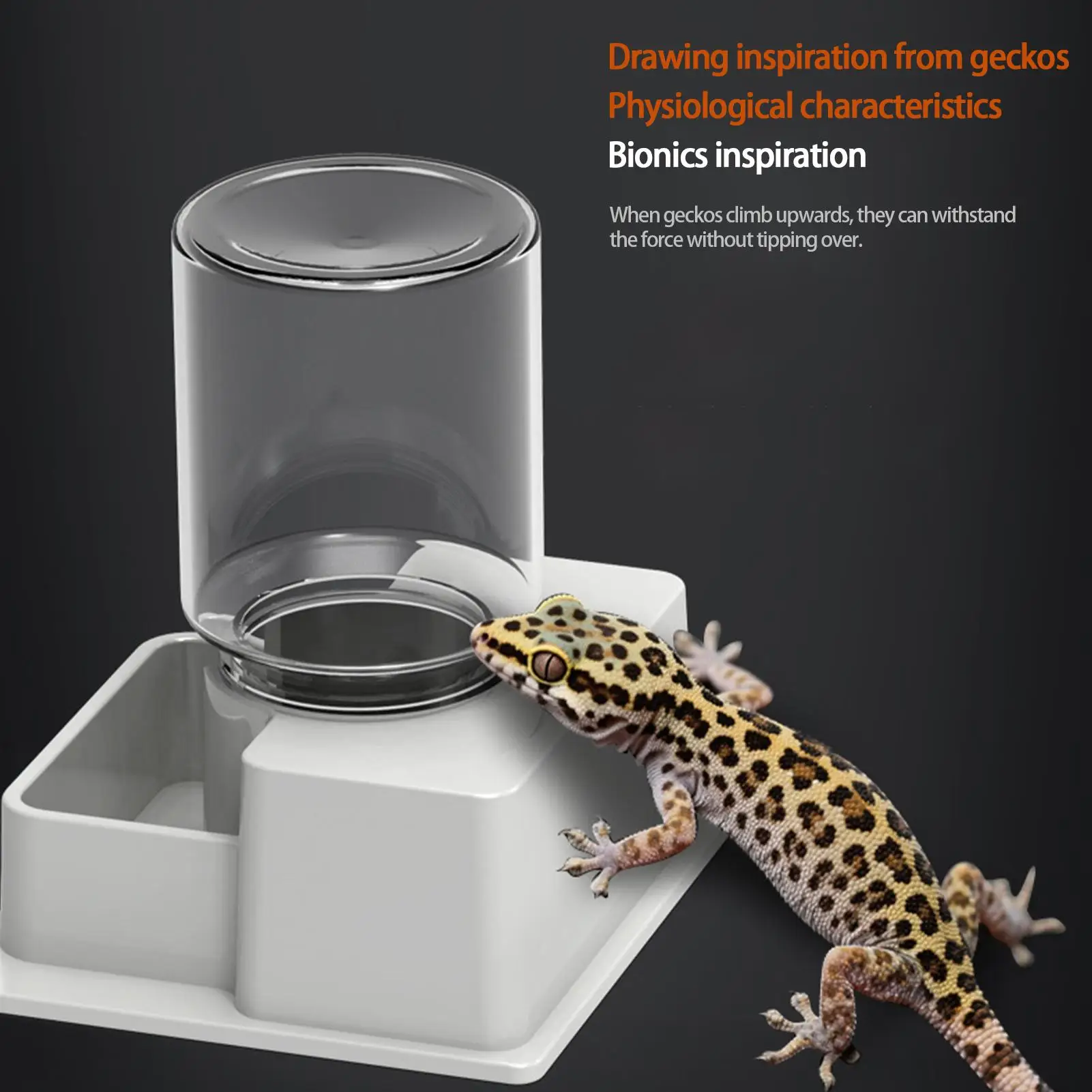 Automatischer Schwerkraft-Wasserspender für Reptilien, abnehmbarer Napf für Eidechsen, Schlangen, Schildkröten, Chamäleons, Geckos, ohne Stromversorgung – Detail 15