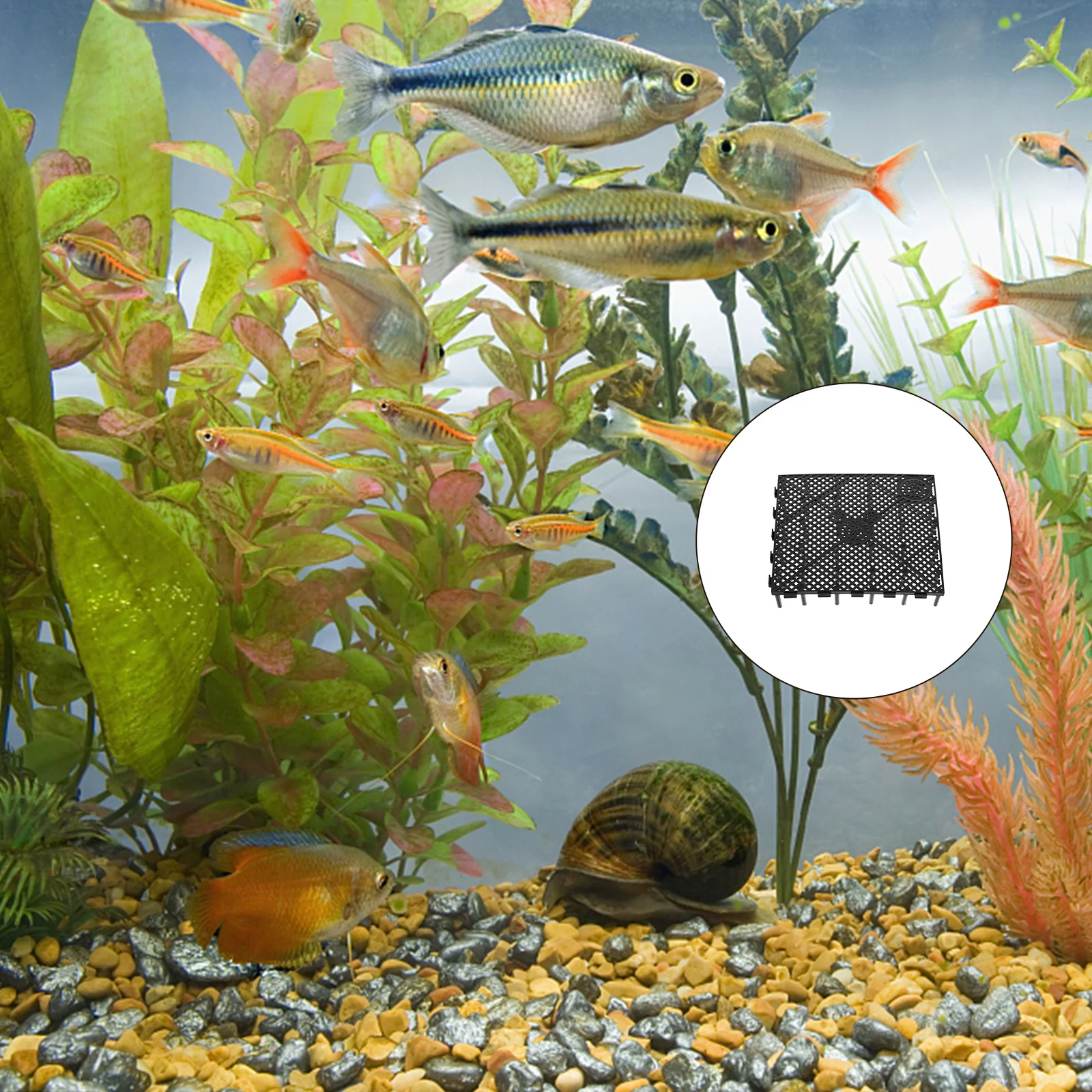 

6Pcs Aquarium Filter Plate Bottom Gravel Filter Board Seamless Splicing Strong Load-Bearing Multi-Hole Flow Design Professional