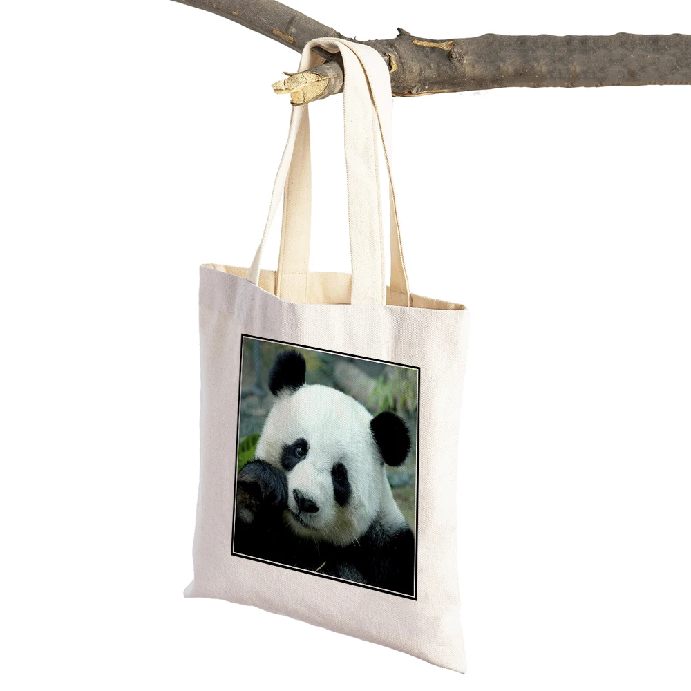 China Panda Lady Travel Shopping Bags Wild Animal Canvas Tote Handbag for Women Girl Foldable Reusable Supermarket Shopper Bag