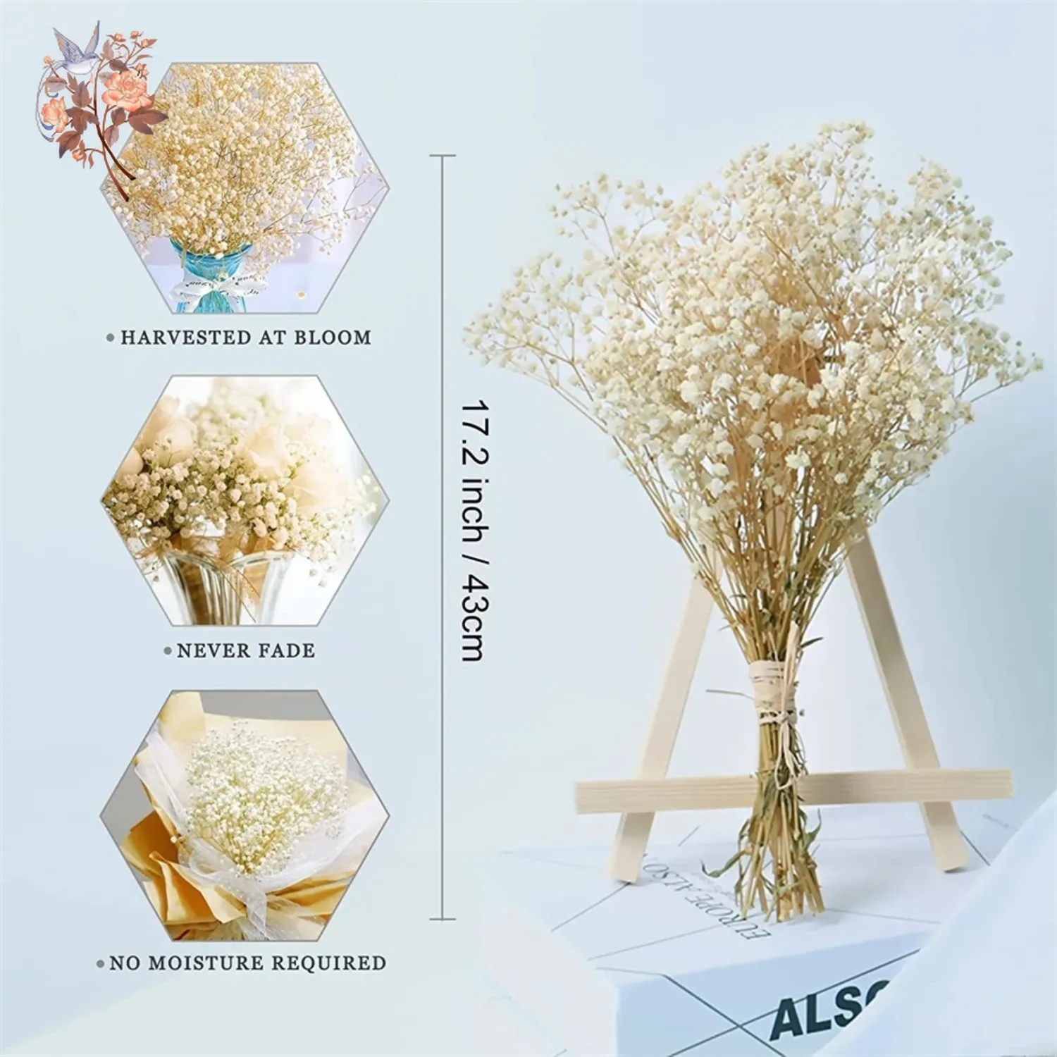 Thumbnail 3 - #62 Top Dried Flowers Picks for Every Budget