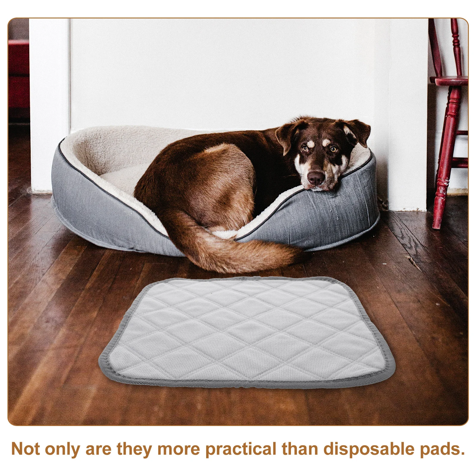 

2Pcs Reusable Washable Dog Pee Pads Absorbent for Small Pets Guinea Pig Hamster Cage Liner Bedding Guinea Pig Liners for Cage