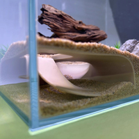 3D Printed Underground Cave Shelter Hideouts with a Slope for Reptiles Lizards Spider, Habitat Terrarium, Aquarium Decoration