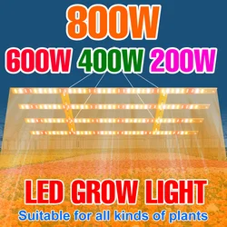 800W LED Grow Light Full Spectrum Quantum Board Plant Lamp IR UV Indoor Hydroponic Greenhouse Tent Flower Vegetables Cultivation