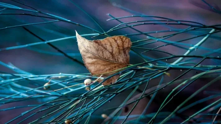 

Cocktail Bar set Mixology Bartender Kit: 10-Piece Bar Tool Set with Stylish Bamboo Stand Bar Accessories