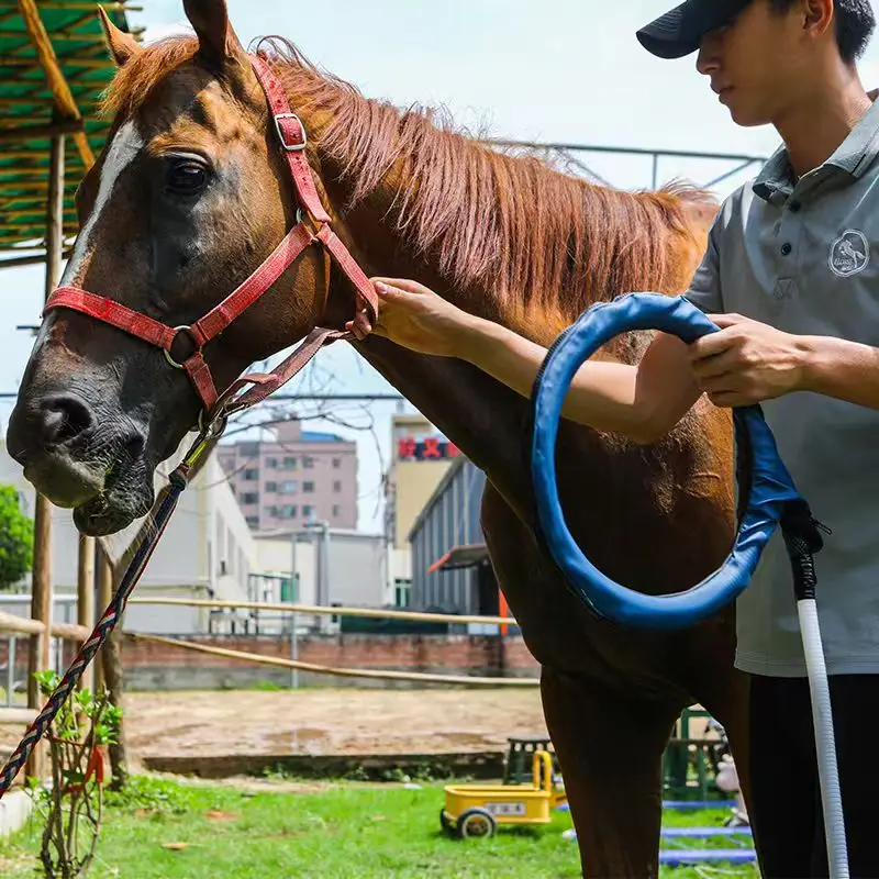 2026 EMTT Standing Recovery Machine Pemf Magnetic Therapy Mat for Horse Sport Injuries & Body Pain Relief Targeted PEMF Loop