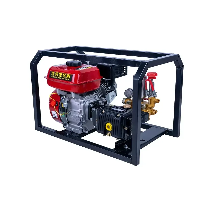 

Agricultural High-Pressure Spray Motor Spray Portable Agricultural 22mm Directly Connect Square Plunger Pump