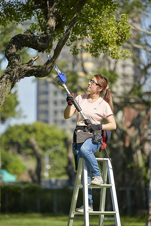 Aerial Chainsaws