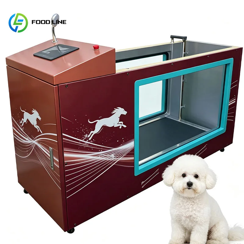 Canine Underwater Treadmill Dog Water Treadmill Adjustable Speed for Small Medium Dogs Customized