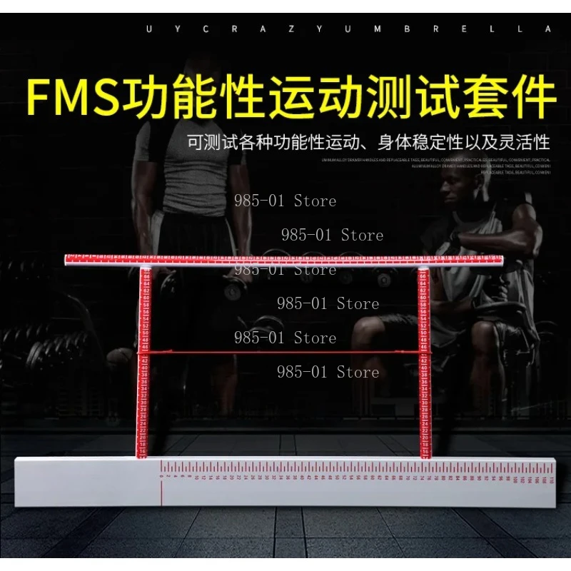 Functional Motion Test Suite FMS Functional Movement Screening Tool Evaluation Board