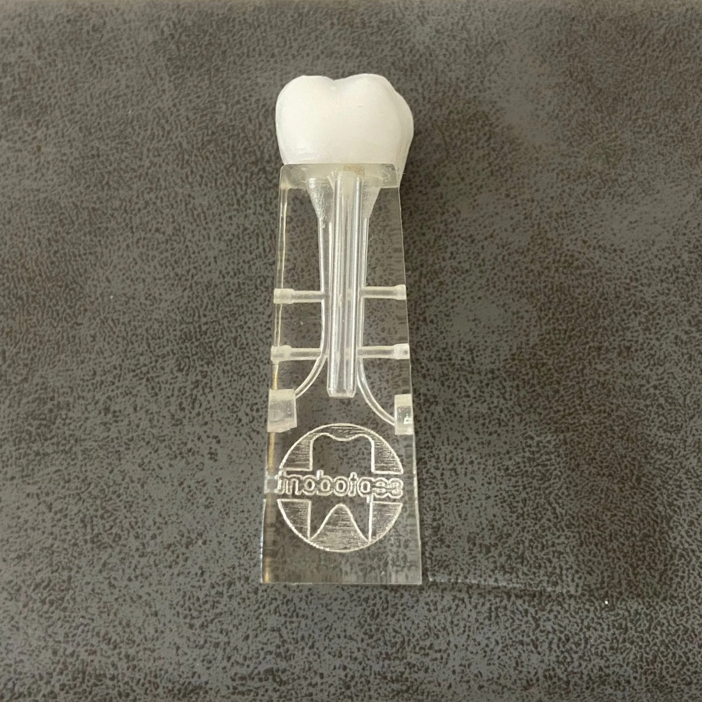 3 قطع ملفات RCT الأسنان ممارسة كتل المولي ملف كتلة يناسب نقار الخشب إندو موتور #2