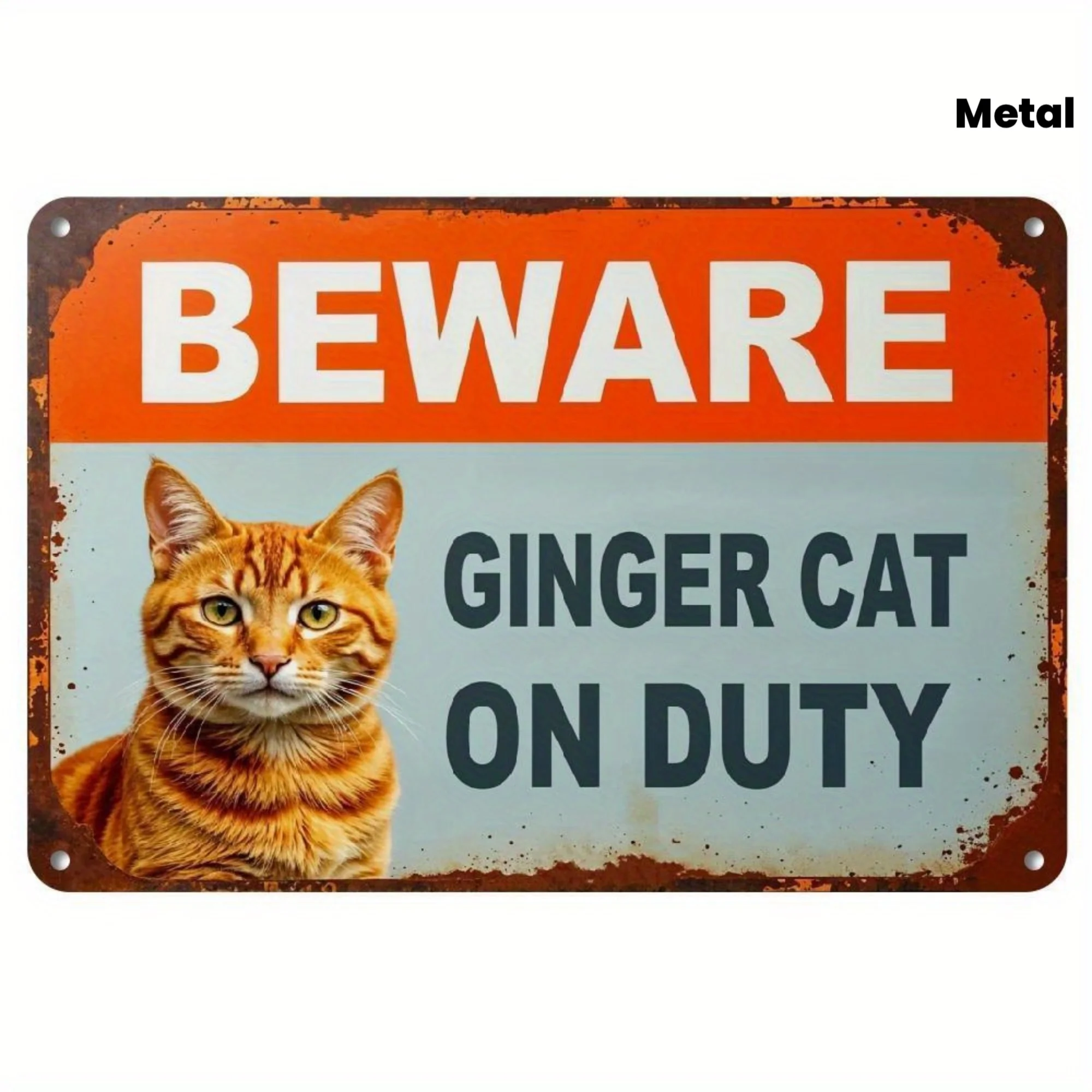 2027 Warning: 