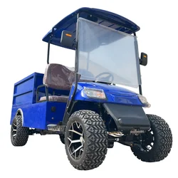 Factory Customized Lifted Off-road Golf Cart Scenic Spots Club Sightseeing Bus Patrol 2 Seater Golf Cart With Cargo Box