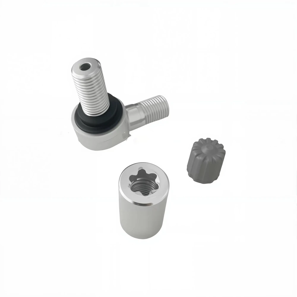 Moto Tire Pressure Sensor Screw for BMW S1000RR XR M1000R K1600B K1600GTL R1250GS  1290 Super Repair kit angle valve 36318388689