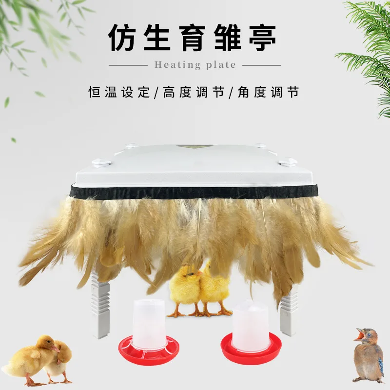 

Chicken Brooder, Heater, Brooding Heater, Adjustable Insulation Board, with Chicken Feather Brooding Pavilion