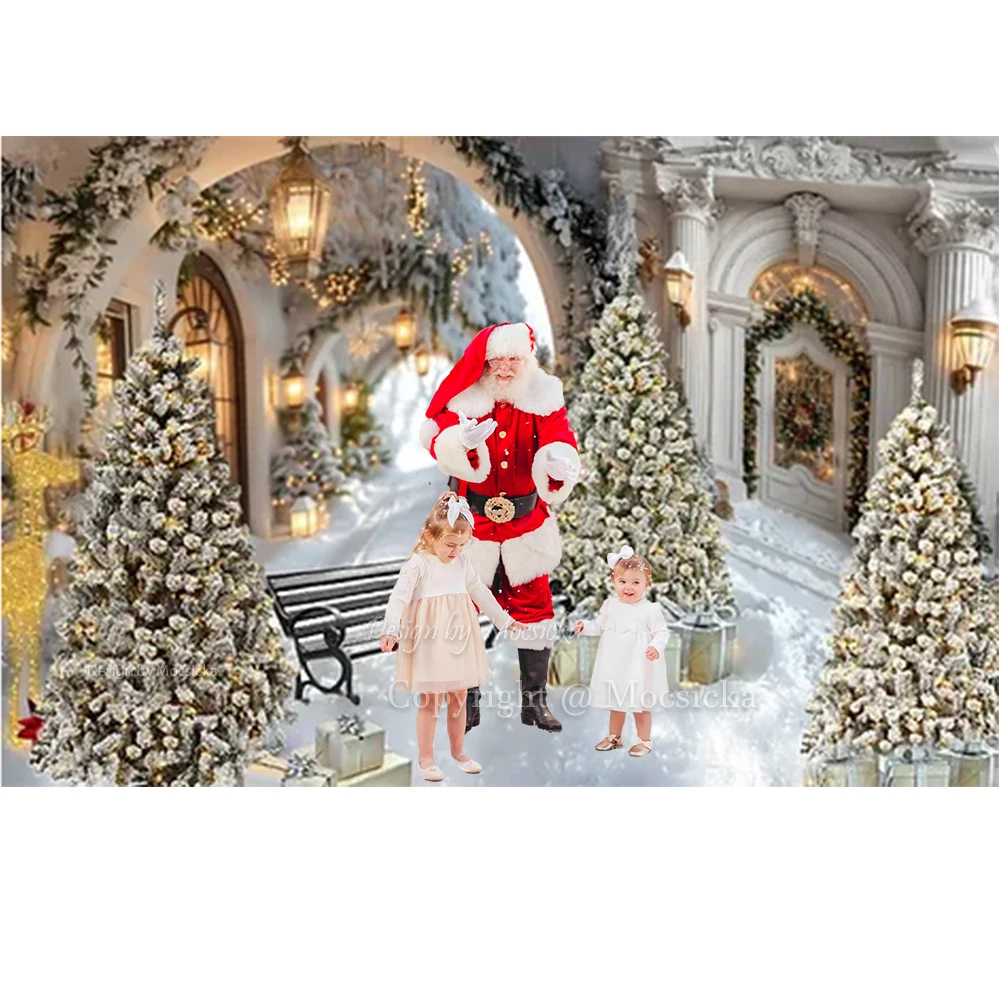 Winter Christmas Background Photography Vintage White Floral Archway Hallway Backdrop Winter Snow Decor Kids Family Photo Studio