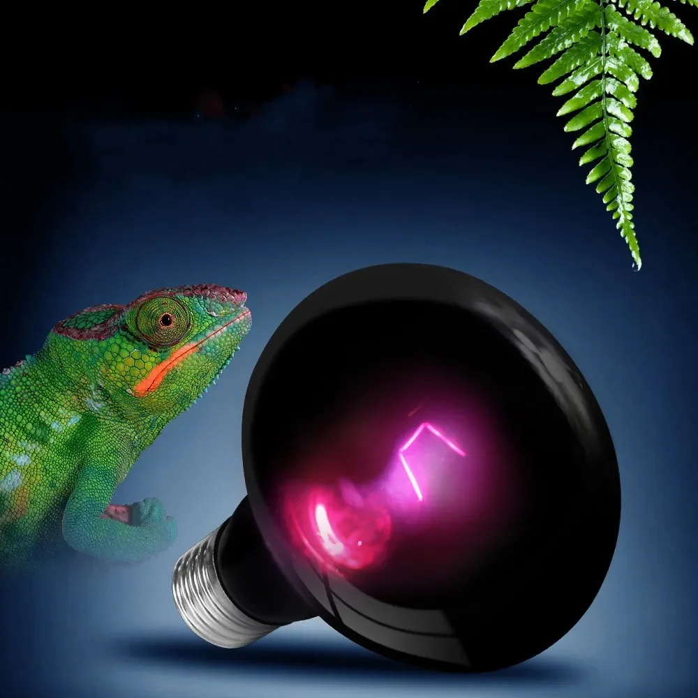 Thumbnail 3 - #25 Best Reptile Heat Lamps to Buy In 2026