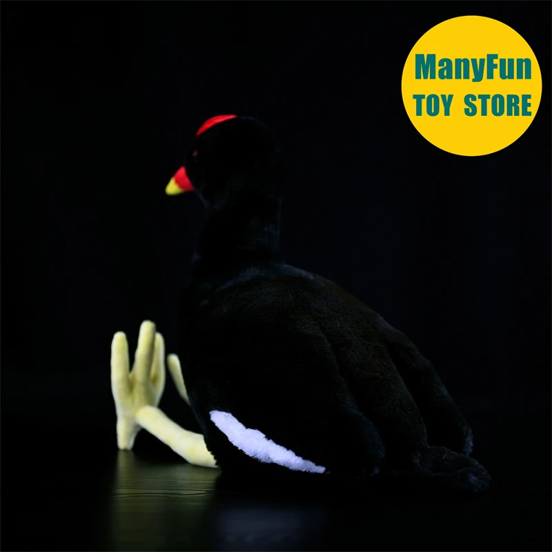 Moorhen brinquedo de pelúcia realista ferroviário plushie lifelike waterhen pelúcia animal inicialização simulação boneca brinquedo presentes