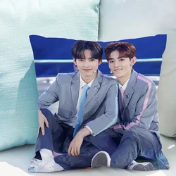 Zerobaseone Decorative Sofa Pillowcase Cushion Cover for Pillow Double-sided Printing Home Decor 40x40 Short Plush Body Pillows