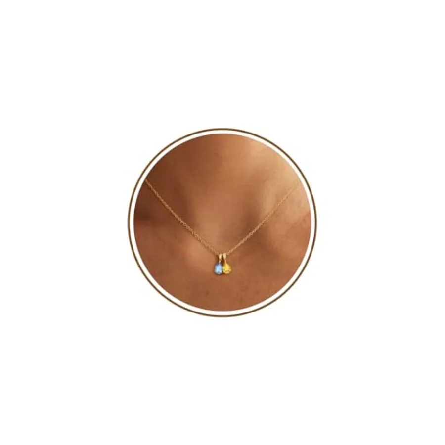 

JSJOY Graduation Gifts for Girls, Birthstone Necklace for Women Dainty Gold Birthstone Pendant Necklace Birthday Gifts for Wome