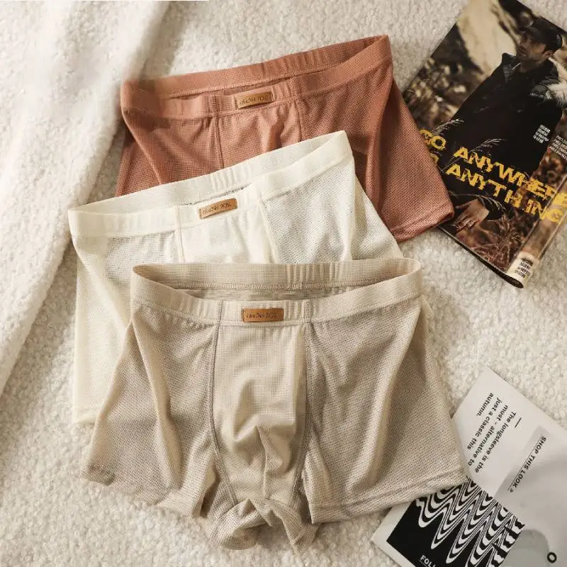 

3 pcs Cool Ice Silk Men Underwear Mesh Breathable Boxer Shorts Male Underpants Sexy Thin Panties U Convex Men's Panties