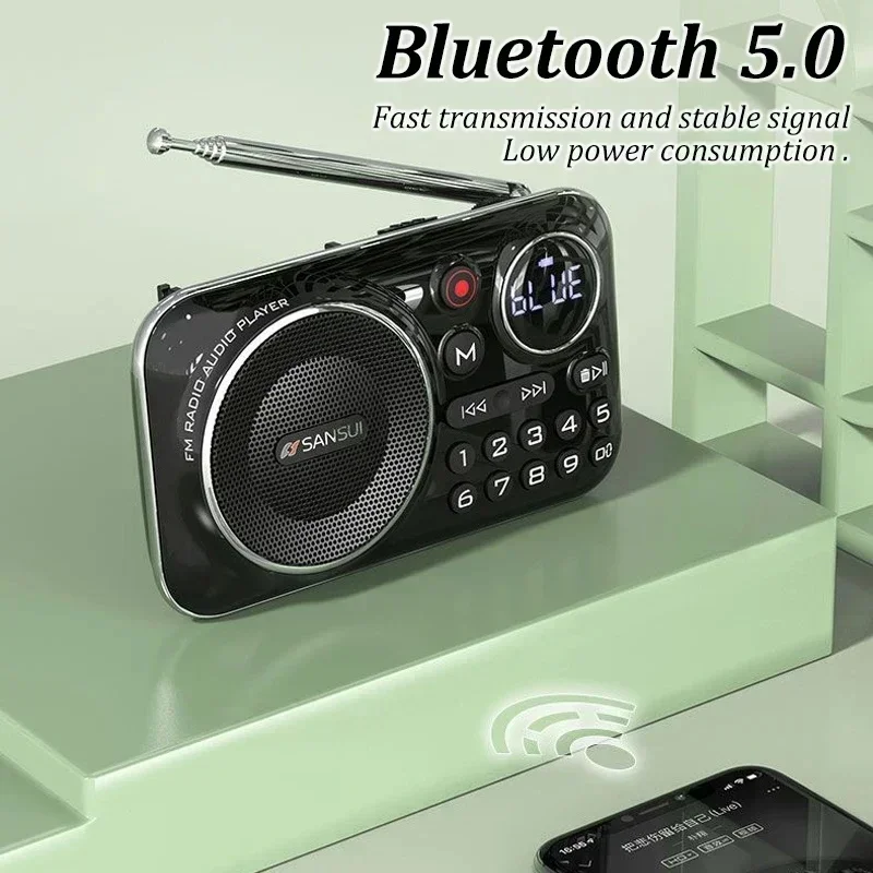 Radio FM Bluetooth 5.0 altoparlante Mini Radio portatile per anziani HiFi TF/USB lettore musicale MP3 supporto cuffie Recordin Play