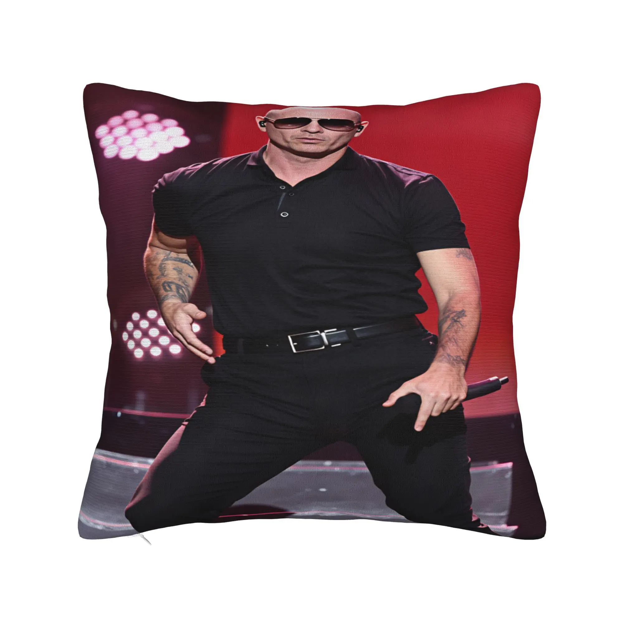 Pitbull Mr Worldwide Tour Pillowcases  Cute Funny Pillow Case For Living Room Chair Print Pillow Cover