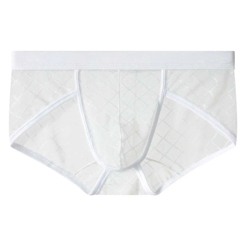 Men's Breathable Mesh Underwear Low Waist Solid Color Transparent Lace Briefs Daily Intimate Quick Dry Boys Briefs