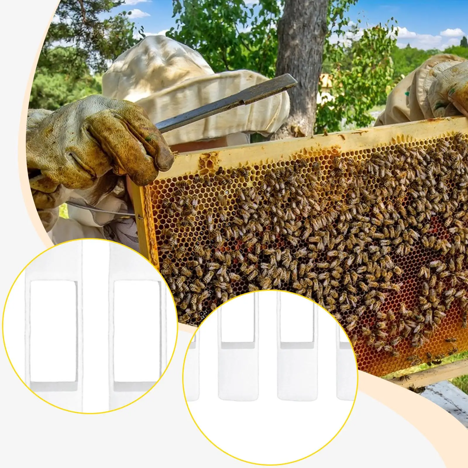 

10 Pieces Bee Frame Spacing Tools Bee Frame Spacer Replaces Accessories Reliable Components Equipments