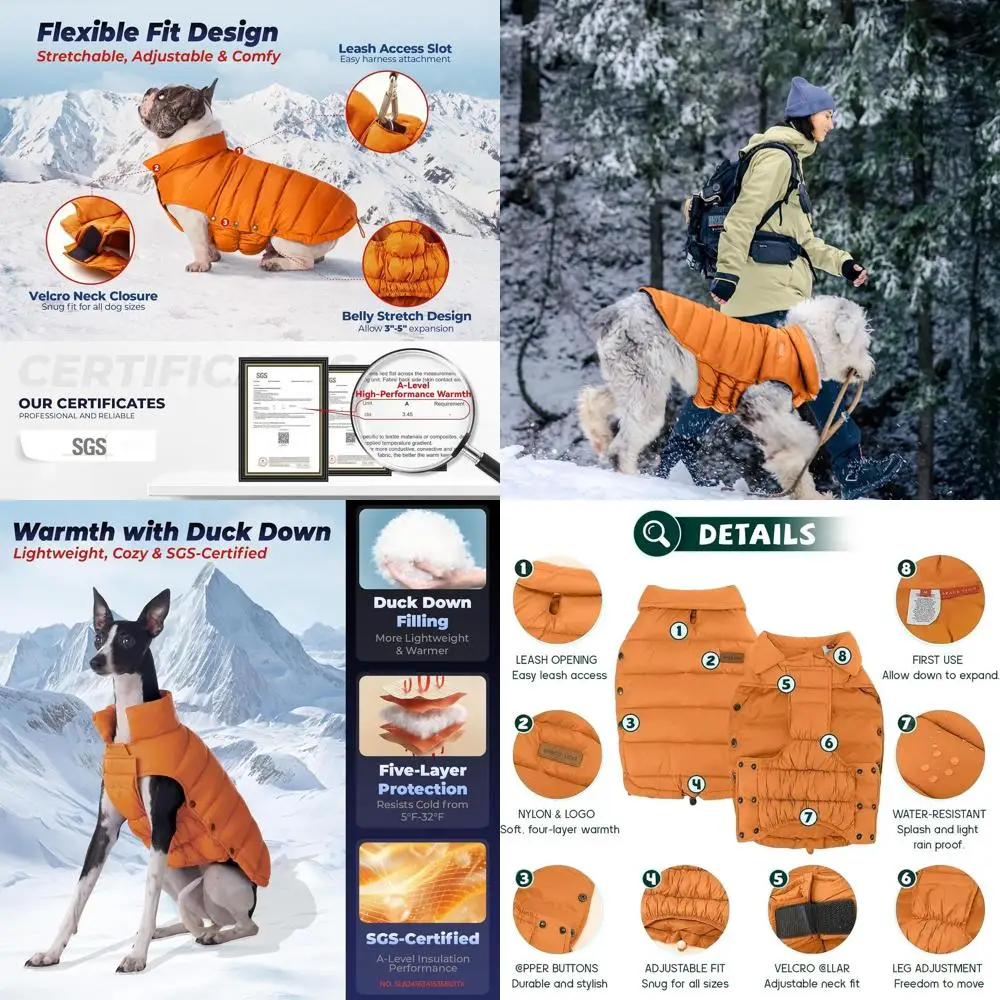 

Puerh Tea-Inspired Dog Winter Coat, Durable for Outdoors, Lightweight & Adjustable for Large Dogs, Orange, Size 28/4XL