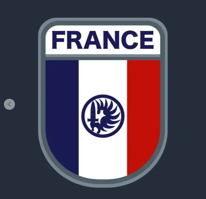 French Foreign Legion 2REP Men T-Shirt French Army Established In 1831 T Shirts Short Sleeve Casual 100% Cotton O-Neck Shirt