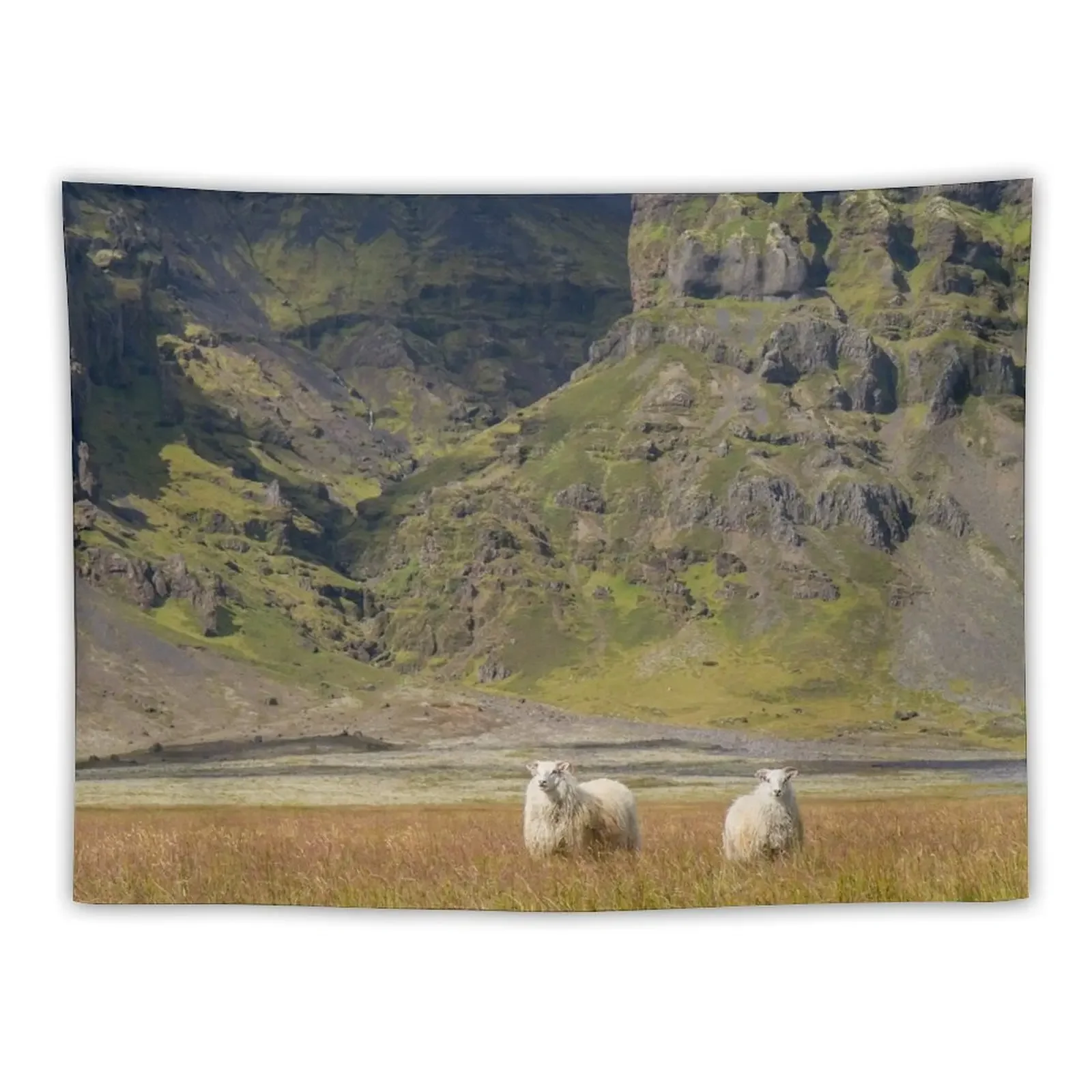 Iceland Tapestry Decoration Bedroom Decorations For Your Bedroom Cute Room Decor Wall Carpet Tapestry