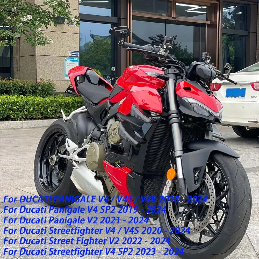 Carena Posteriore per Panigale V2 V4 V4R V4S 2018 - 2024 e Streetfighter V2 V4 V4S V4R 2020 - 2024, Copertura Posteriore del Sedile Singolo