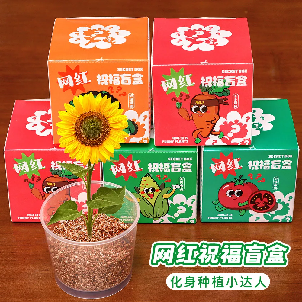 

Miniature Plant Canned Decoration Blind Bag Mini Simulation Small Pot Soil Toy Surprise Planting Blind Box Gift Prize Draw Game