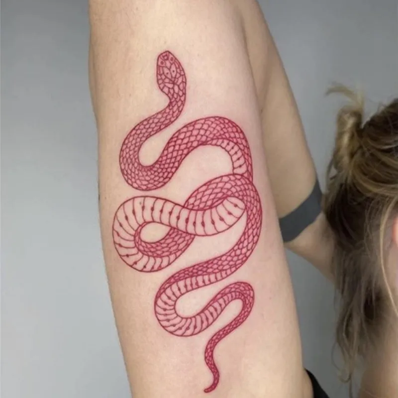 Рисунок 4 - Черная Змея Временные татуировки