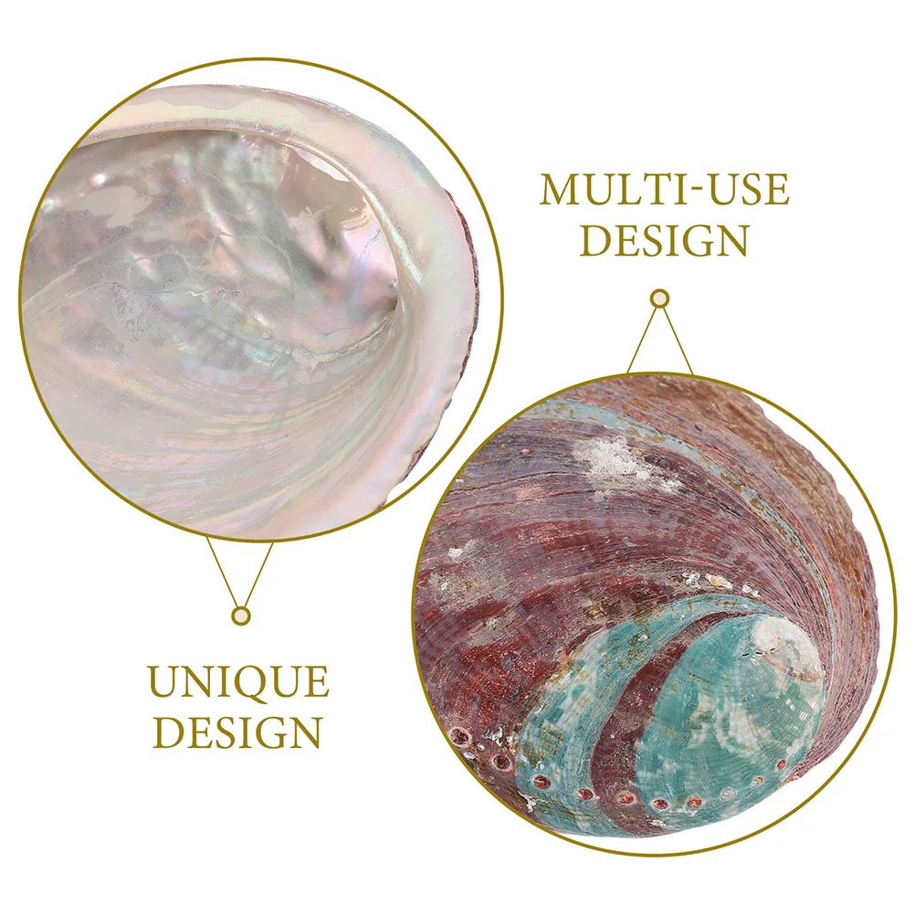 

2Pcs Abalone Shell Decor Rough Ornament Natural Tank Decoration Grass Burning Container Abalone Shell for Smudging