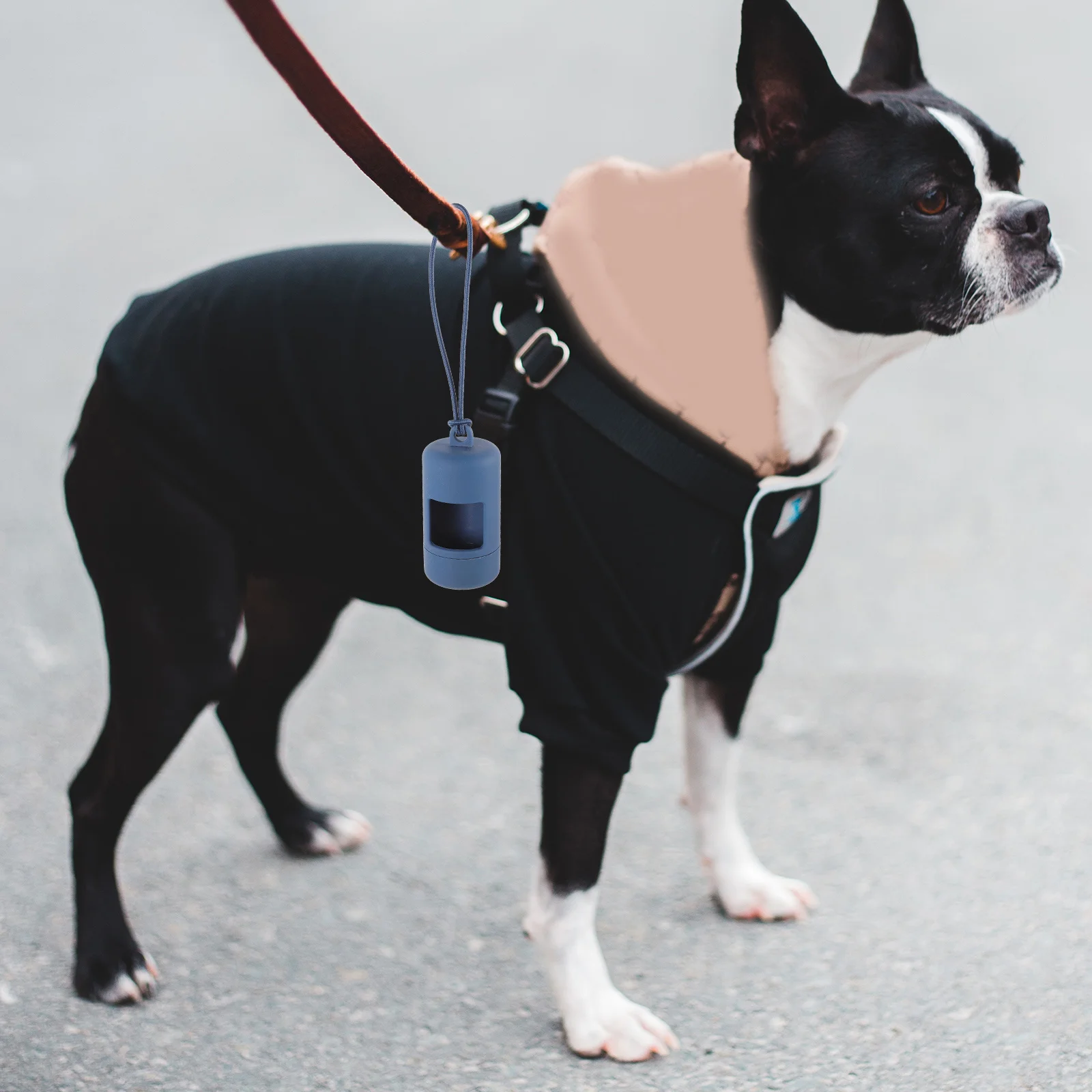 

Outdoor Dog Poop Bag Holder Dispenser Reliable Waste Bag Container for Daily Walks Convenient Pet Cleaning Supply