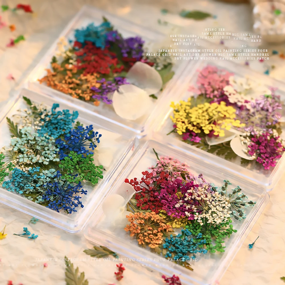 

Boxed Nail Accessories Summer Dried Flower Babysbreath Mixed Real Flowers Decoration Manicure Diy Box-packed Jewelry Supplies