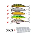5PCS boxed