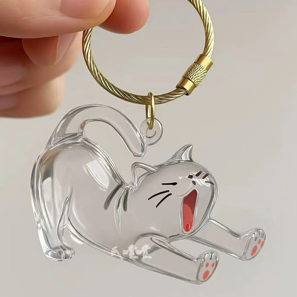 Rakol New Transparent Pet Hair Storage Box Cat Hair Storage Capsule Bag Cute Keychain Bag Pendant Pet Commemoration