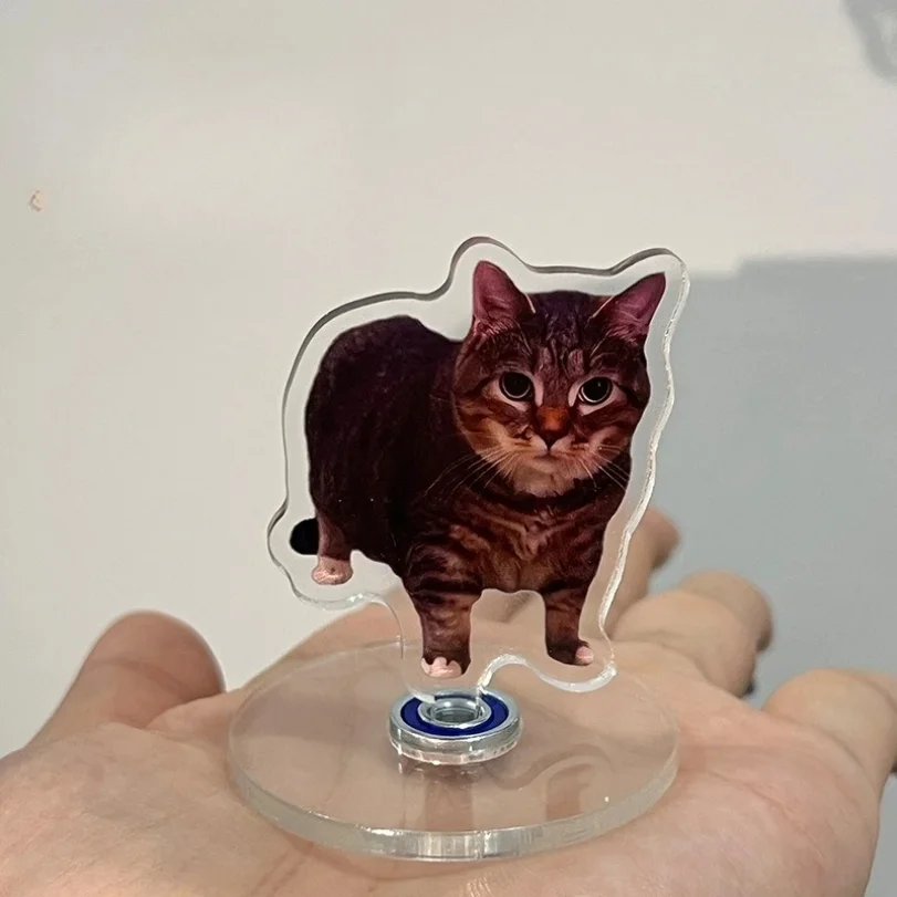 귀여운 고양이 NEW 패턴 아크릴 360 °   회전하는 고양이 책상 장식용 스탠드 홈 데코 자동차 오토바이 어린이 성인 선물